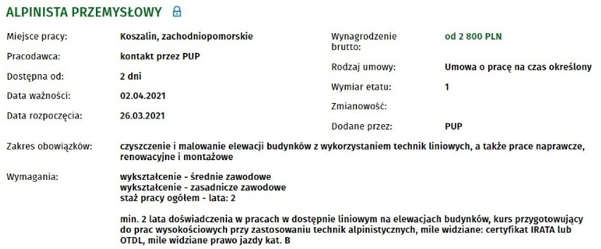 Oferty pracy w Koszalinie