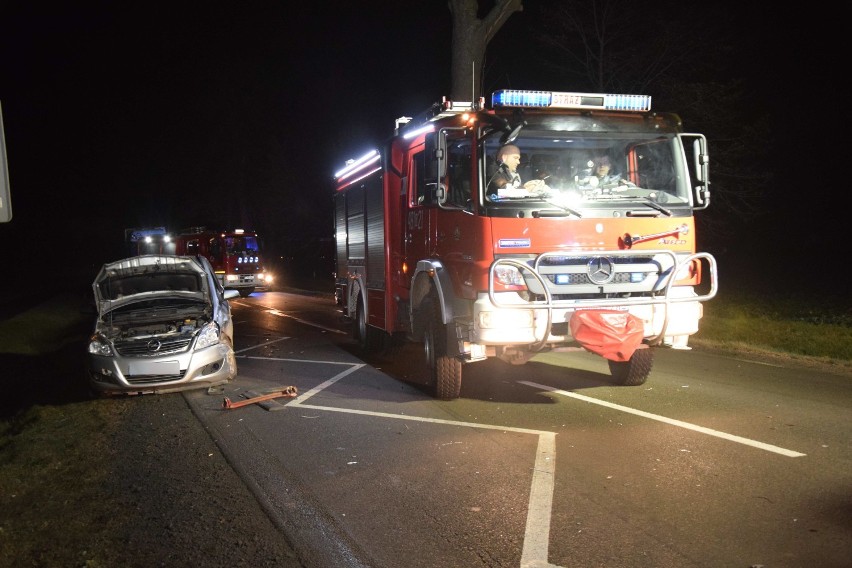 Wypadek na "55" między Malborkiem a Tragaminem [ZDJĘCIA]. Dwie osoby ranne, sprawca pijany