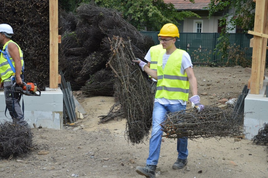 Bochnia. Trwa budowa tężni solankowej, obecnie układana jest tarnina