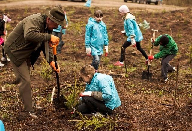 Akcja sadzenia 1000 drzew na Podlasiu [zdjęcia]