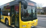 Wakacyjny rozkład jazdy autobusów będzie obowiązywał do 31 sierpnia