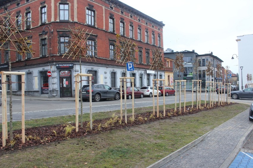 Parking po Tarmilo w Tarnowskich Górach się zazieleni. Są...