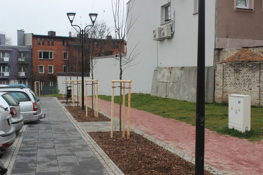 Parking po Tarmilo w Tarnowskich Górach się zazieleni. Są...