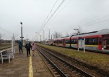 Nowy rozkład PKP od 14 marca. Jeszcze więcej pociągów ze stacji Drzewica, w tym wieczorny do Tomaszowa