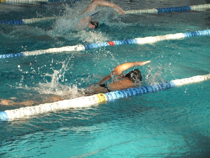 Bełchatów: mistrzostwa I LO w pływaniu