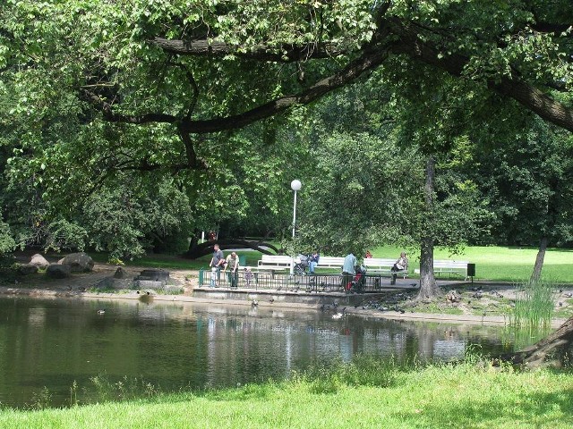 Stado ma "włóczyć się" po poznańskich parkach