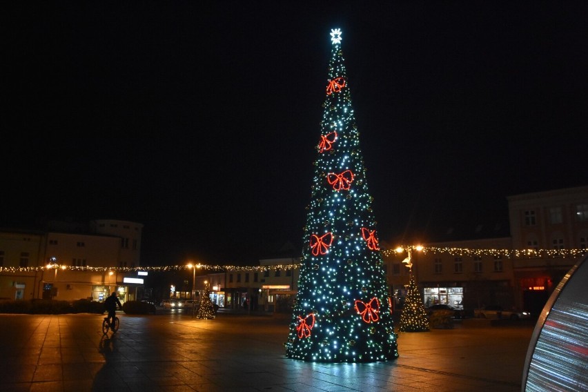 Choinki na Rynku w Wągrowcu. Takie drzewka dekorowały centralny plac stolicy powiatu wągrowieckiego