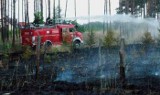1,5 hektara lasu w Żabnie spłonęło od iskry wywołanej zerwaniem trakcji wysokiego napięcia