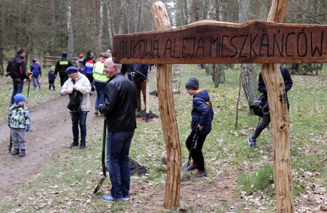 Kilkaset osób wzięło udział w akcji sadzenia drzew w lesie komunalnym w Grudziądzu. Powstała aleja bukowa mieszkańców miasta. 

>> Najświeższe informacje z regionu, zdjęcia, wideo tylko na www.pomorska.pl 