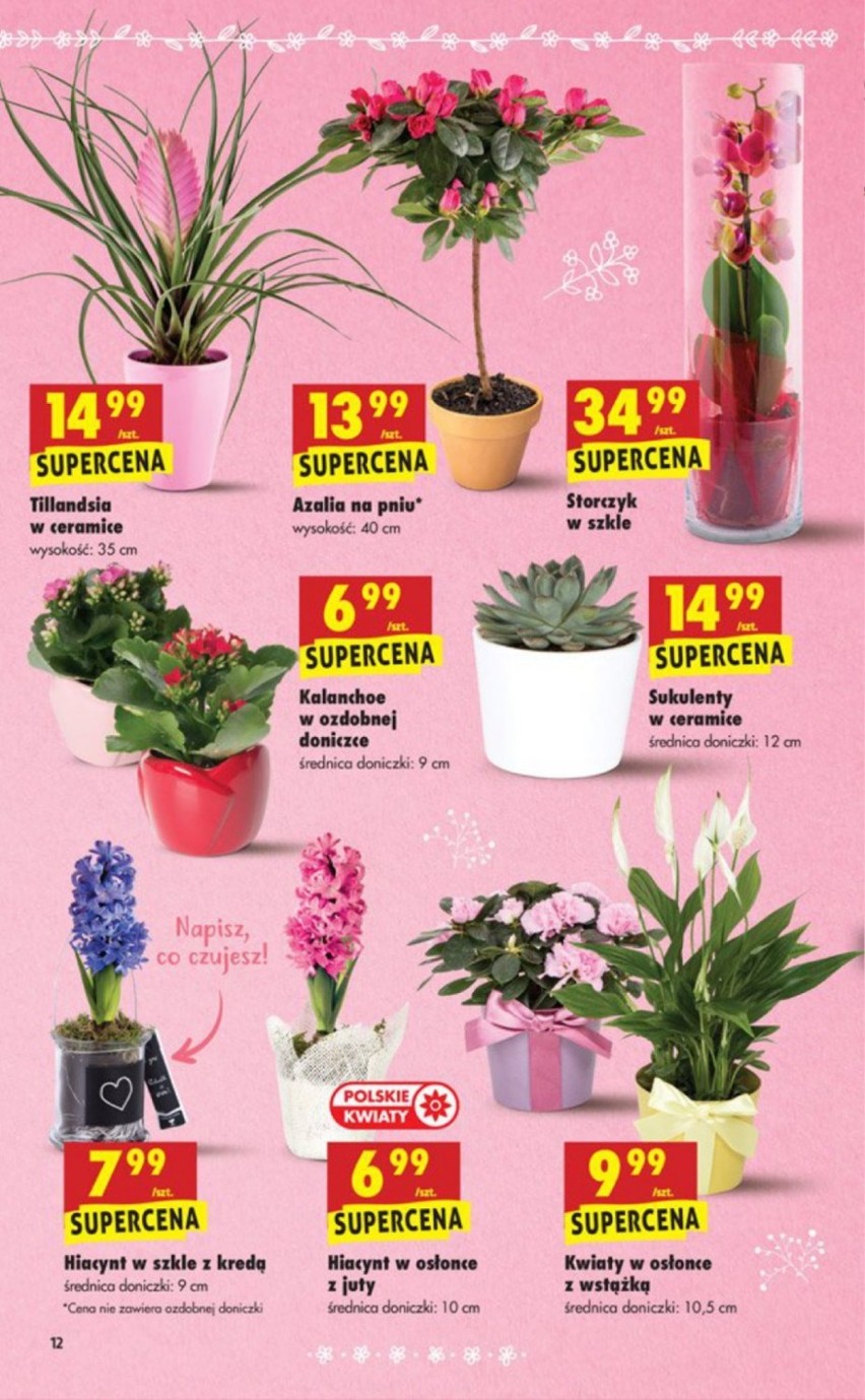 Dzień Kobiet 2018: Ceny kwiatów ciętych w Lidlu, Biedronce,...