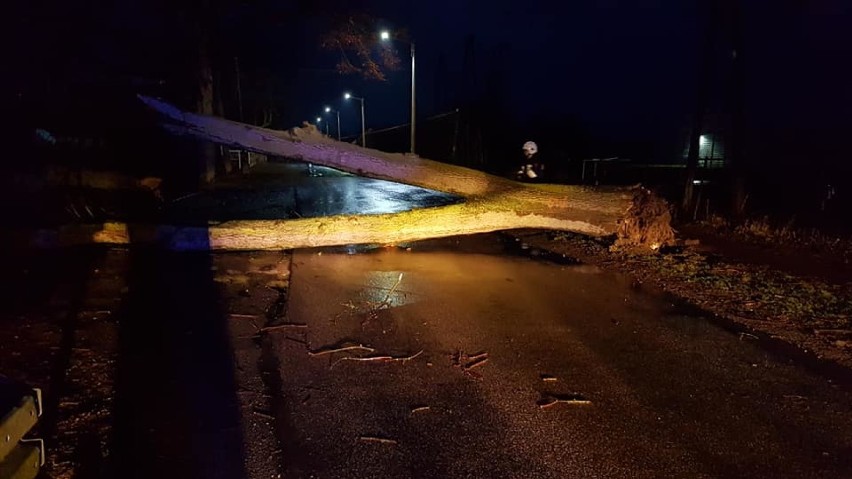 W niedzielę i w poniedziałek strażacy z Piotrkowa i powiatu...