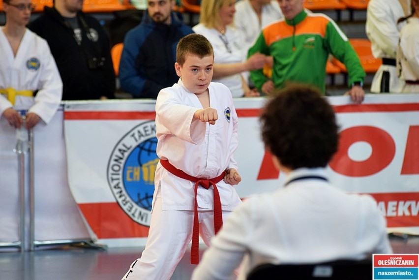 Międzynarodowy Turniej Taekwondo Master Cup w oleśnickiej hali (ZDJĘCIA) 