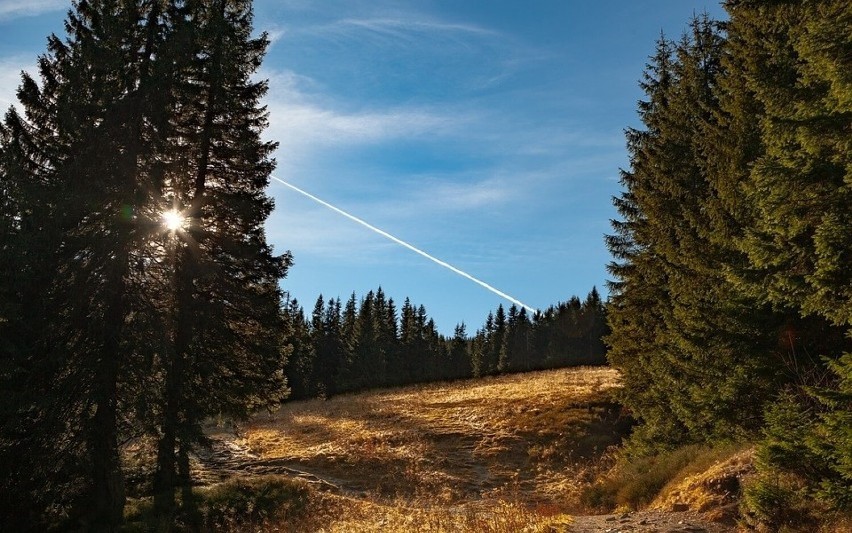 Pilsko (1557 m n.p.m.) jest drugim najwyższym szczytem w...