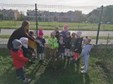 Przedszkolaki z Przedszkola numer 1 w Jędrzejowie zasadziły drzewka. Tak świętowały Dzień Drzewa (ZDJĘCIA)