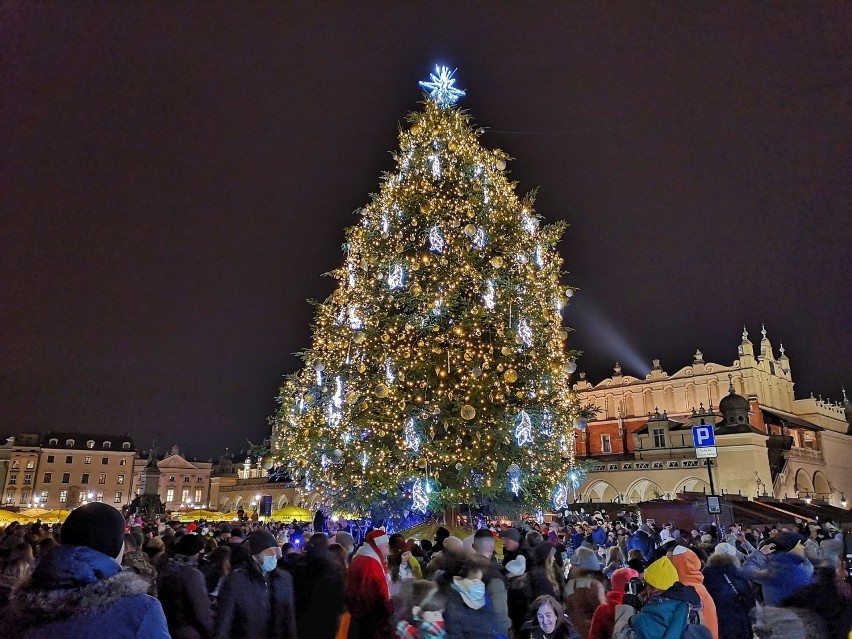 Na Rynku Głównym rozbłysła największa choinka w Krakowie. 15-metrowy świerk zdobi 26 tysięcy światełek! [ZDJĘCIA]