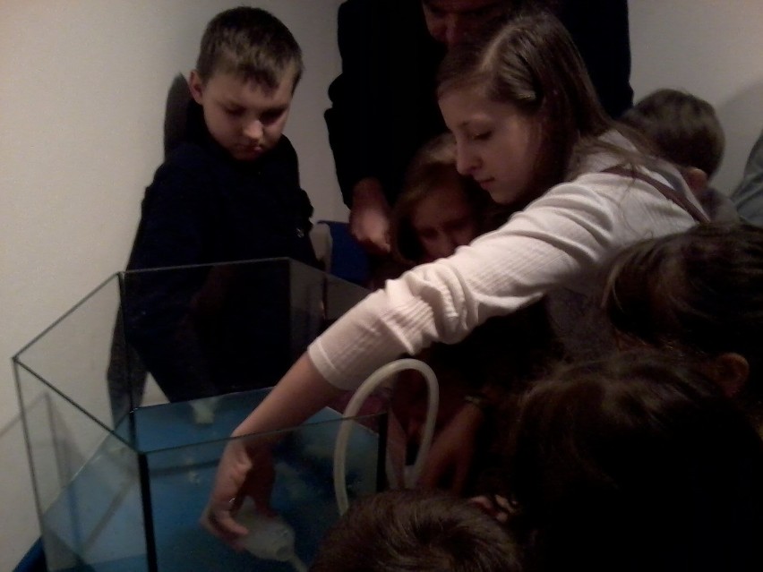 Rybnik-Niewiadom: Dzieciaki spędziły pierwszy dzień ferii na wystawie w muzeum
