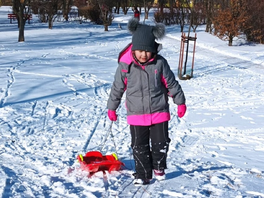 Sypnęło śniegiem, pora wybrać się na sanki! Szukamy...