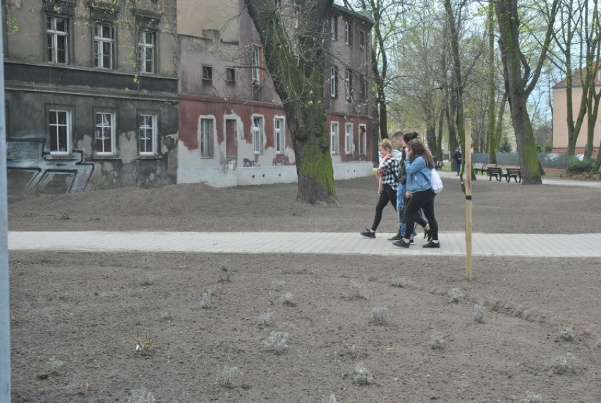 Powstaje nowy park przy Szkole Muzycznej w Lesznie. Ma służyć głównie uczniom [FOTO]