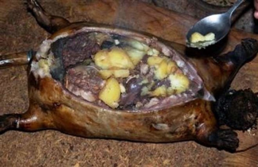 Kiviak - tradycyjna grenlandzka potrawa, zazwyczaj spożywana...