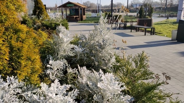 Tak wygląda jesienną porą plaże miejska w Będzinie Zobacz kolejne zdjęcia/plansze. Przesuwaj zdjęcia w prawo - naciśnij strzałkę lub przycisk NASTĘPNE