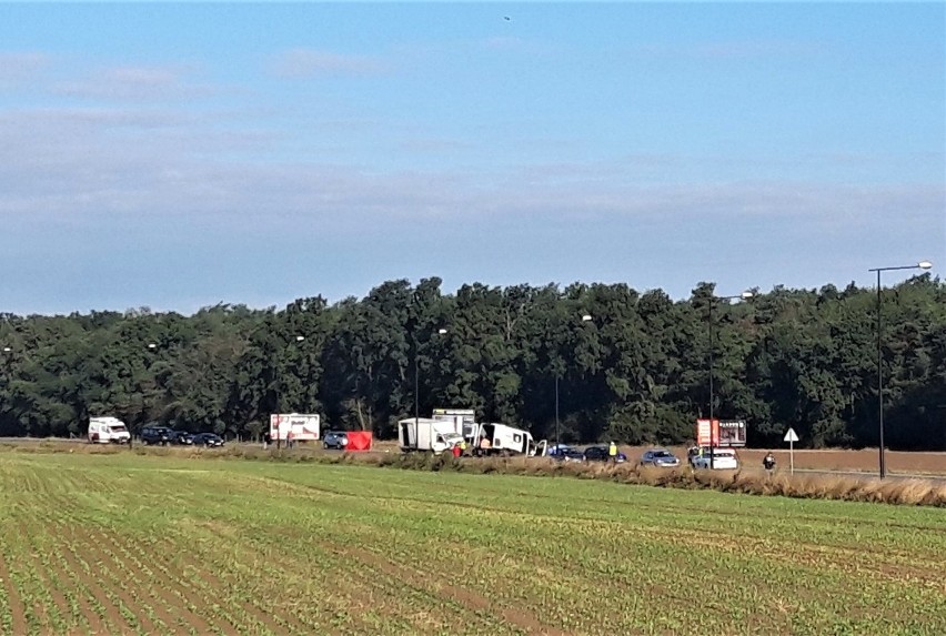 Czołowe zderzenie busów w Świdniku. Nie żyje jeden z pasażerów. Wiele rannych osób