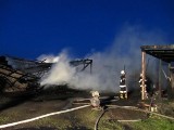 Dramatyczny pożar koło Nowego Tomyśla. Ranny został strażak [FOTO]