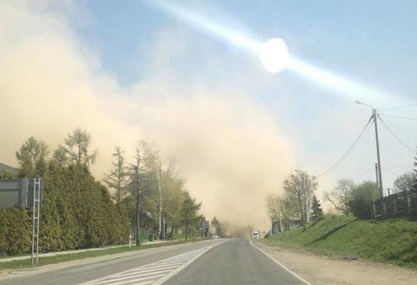 Według prognoz Centrum Prognozowania Pyłu w Barcelonie...