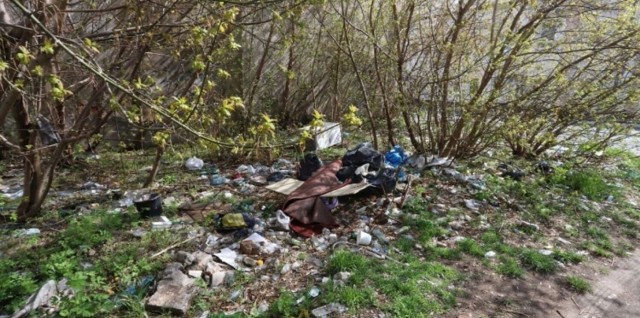 Śmiecie na działce przy ulicy Limanowskiego leżą od lat, nikt nie jest w stanie zmusić właściciela nieruchomości do jej posprzątania.