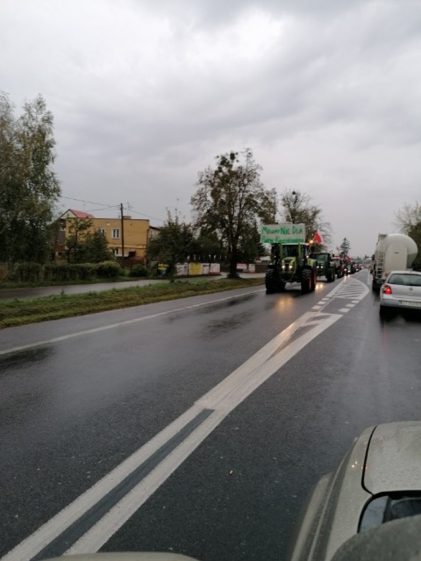Rolnicy z powiatu lipnowskiego wzięli udział w strajku na DK...
