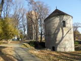 Lekcje edukacji regionalnej nie oznaczają, że cieszynianie będą się uczyć śląskiej &quot;godki&quot;