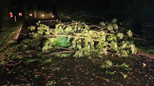 Małopolska zachodnia. Połamane konary i drzewa. Silny wiatr szalał nocą