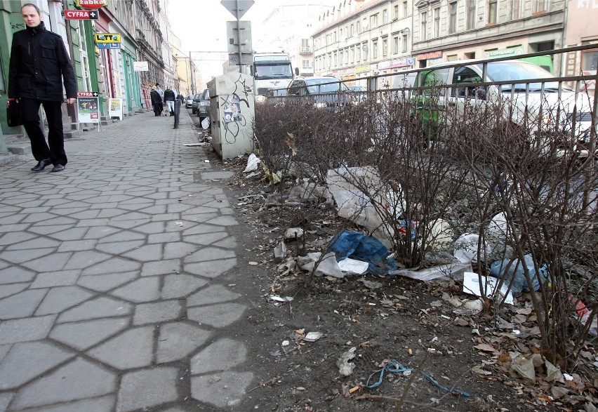 Kto i kiedy posprząta Wrocław po zimie?