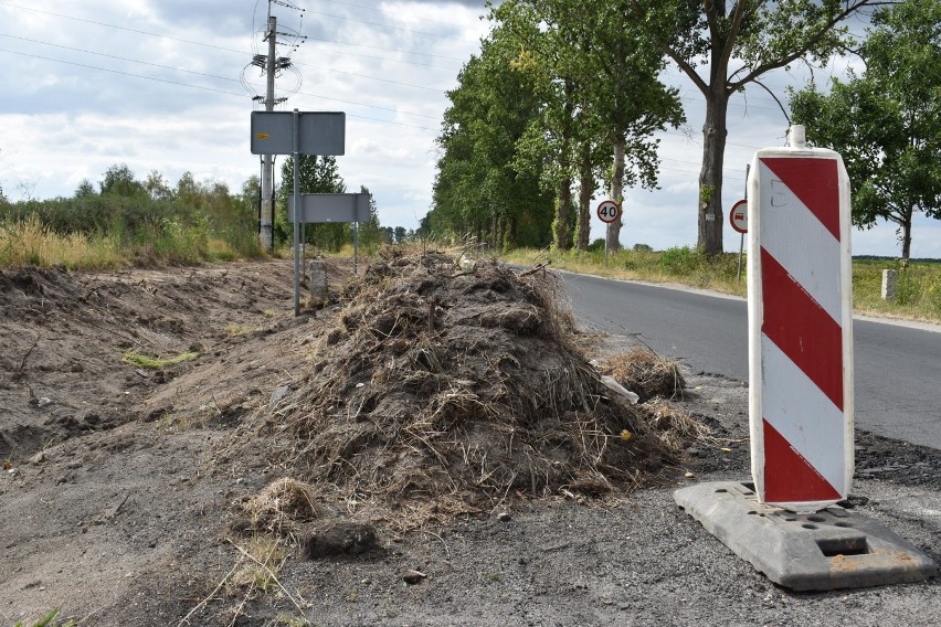 Po drzewach wzdłuż drogi powiatowej pomiędzy Maszewem a...