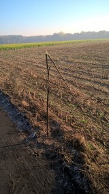 Ktoś bezmyślnie zniszczył drzewa! Sprawą ma zająć się policja.