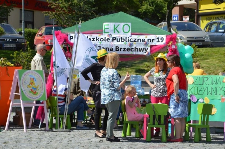 Piknik ekologiczny Ostrowiec- miasto z klimatem