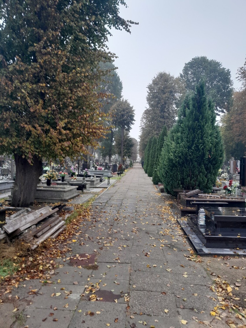Stary cmentarz przy ul. Łaskiej w Zduńskiej Woli na tydzień...
