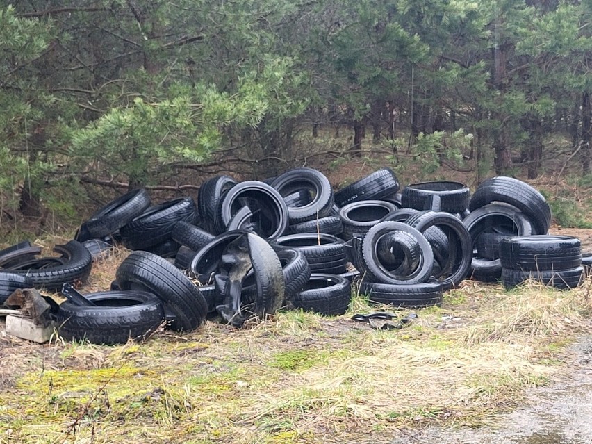 Porzucone odpady zastali leśnicy w lesie w Otominie