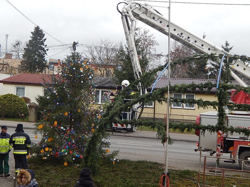 Przed Urzędem Gminy w Radominie ubierali choinkę bożonarodzeniową 