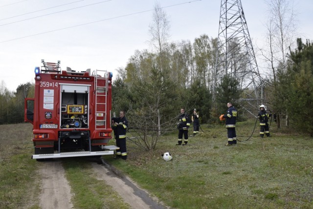 Interweniowała straż pożarna