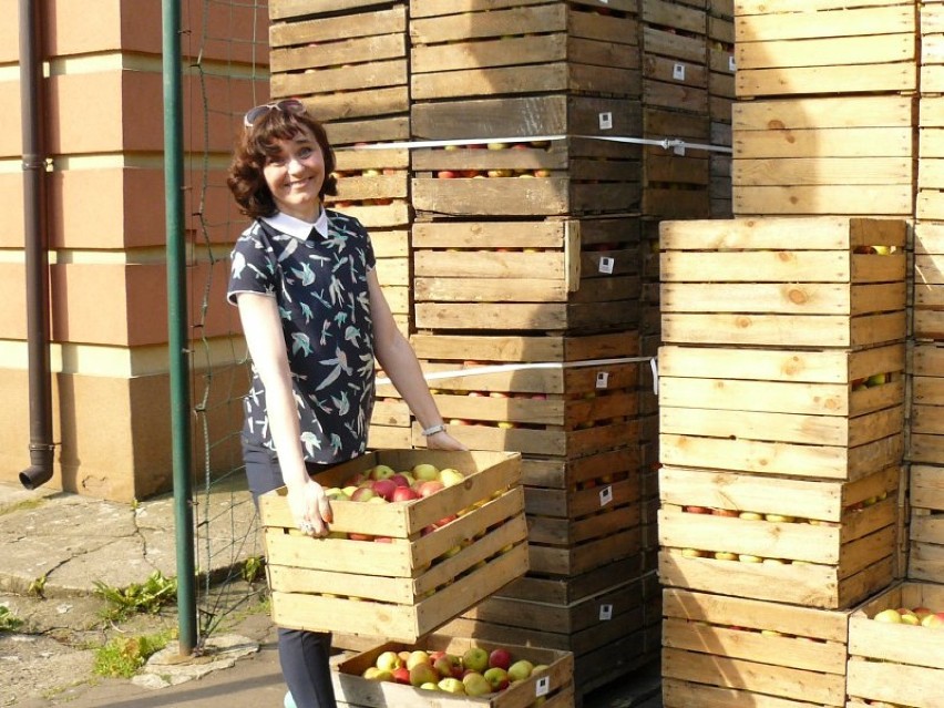 Kolejna dostawa jabłek do szkoły w Kłobucku [FOTO]