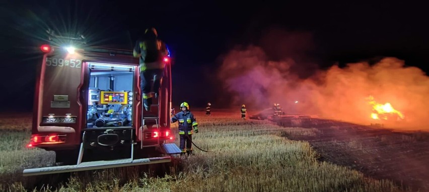 Wieczorne pożary pustostanu oraz pola [ZDJĘCIA]