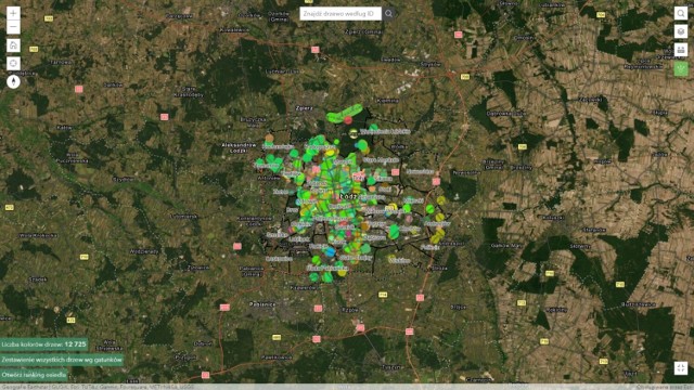 Mapa Drzew Łodzi nagrodzona tytułem Internetowa Mapa Roku 2021/2022.