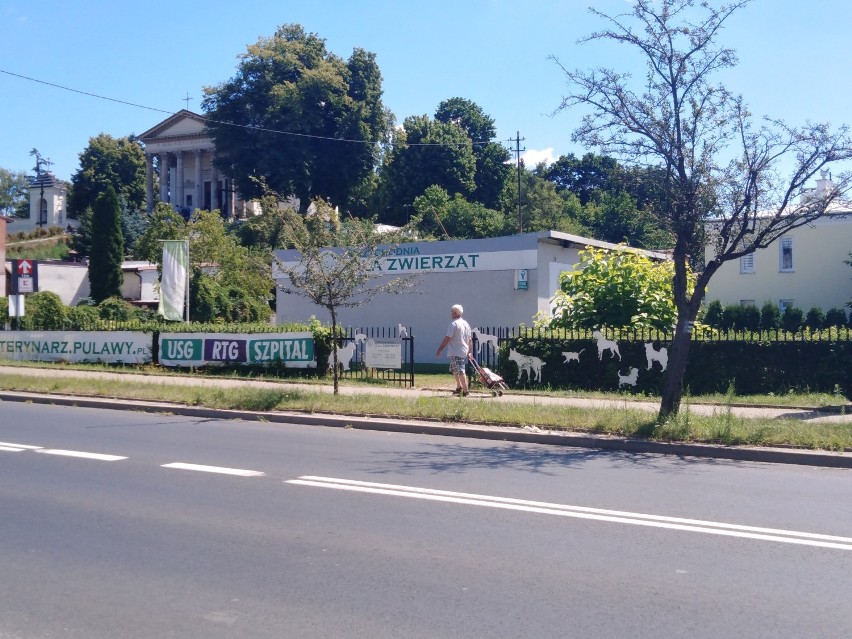 Nowe zatoki autobusowe w Puławach usprawnią ruch samochodów