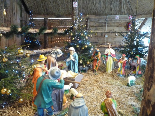 Szopka bożonarodzeniowa w Chełmie