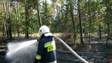 Pożar lasu w Górkach Śląskich. Ogień gasiło 100 strażaków z dwóch powiatów oraz samoloty z Rybnika [ZDJĘCIA]