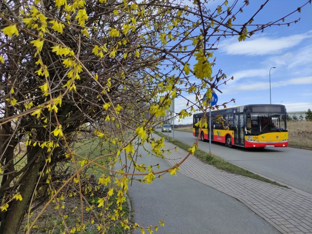 W wielkanocny weekend rewolucji z rozkładami jazdy obowiązującymi w święta tradycyjnie już nie ma. W Wielkanocną Niedzielę i Poniedziałek obowiązywać będzie rozkład świąteczny, w Wielką Sobotę sobotni.