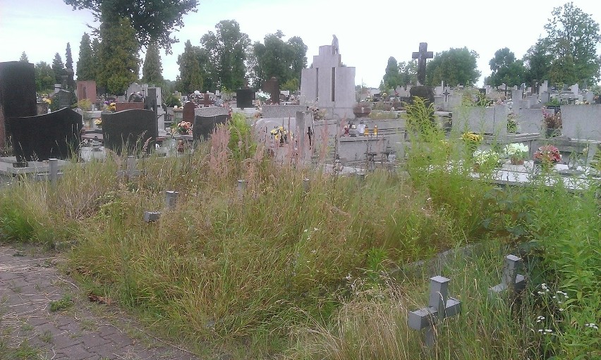 Cmentarz przy ul. 11 Listopada: warto dbać o żołnierskie...