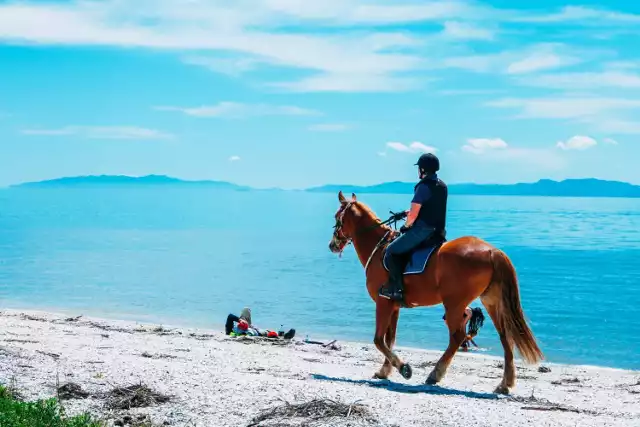 Indonezyjska wyspa Sumba jest jednym z najbardziej dziewiczych i urokliwych zakątków na świecie. Ta tropikalna oaza przyciąga turystów dzięki oszałamiającym plażom i dzikiej przyrodzie. Jednak Sumba kryje również wyjątkową atrakcję – hipoterapię.