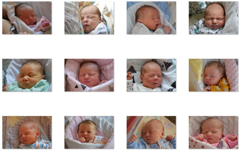 Maluszki urodzone w sierpniu w Szpitalu Miejskim w Miastku (FOTO)