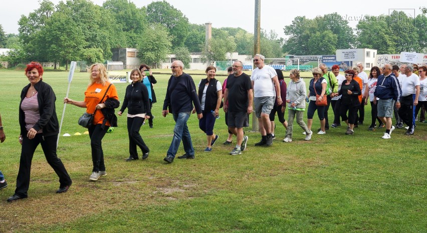 Seniorzy z regionu spotkali się na Euroregionalnej Olimpiadzie. Wiek to tylko liczba! Oni żyją aktywnie